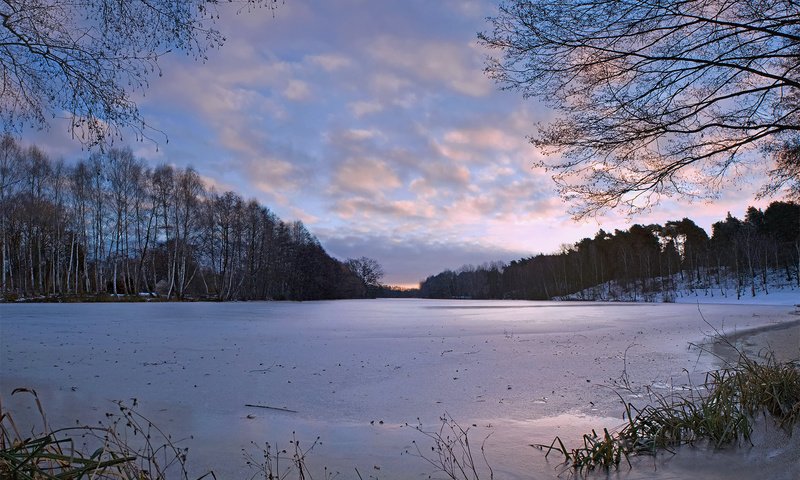 Обои деревья, река, природа, зима, наледь, trees, river, nature, winter, frost разрешение 1920x1200 Загрузить