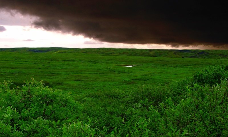 Обои трава, облака, буря, зелёный, поле, grass, clouds, storm, green, field разрешение 2732x1536 Загрузить