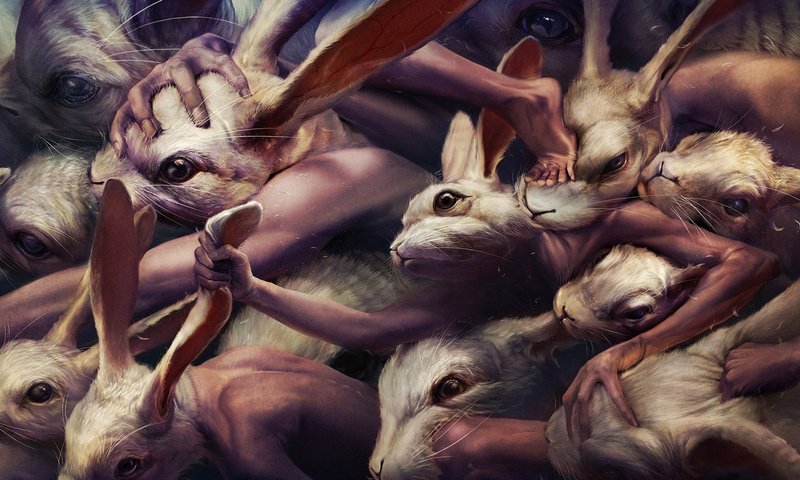 Обои кролики, ryohei hase, драка, мутанты, rabbits, fight, mutants разрешение 1920x1080 Загрузить