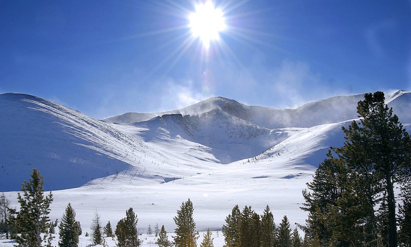 Обои горы, солнце, снег, зима, россия, ель, mountains, the sun, snow, winter, russia, spruce разрешение 1920x1200 Загрузить