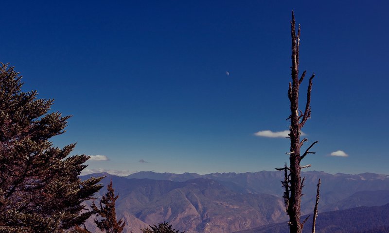 Обои небо, горы, ветка, the sky, mountains, branch разрешение 1920x1244 Загрузить