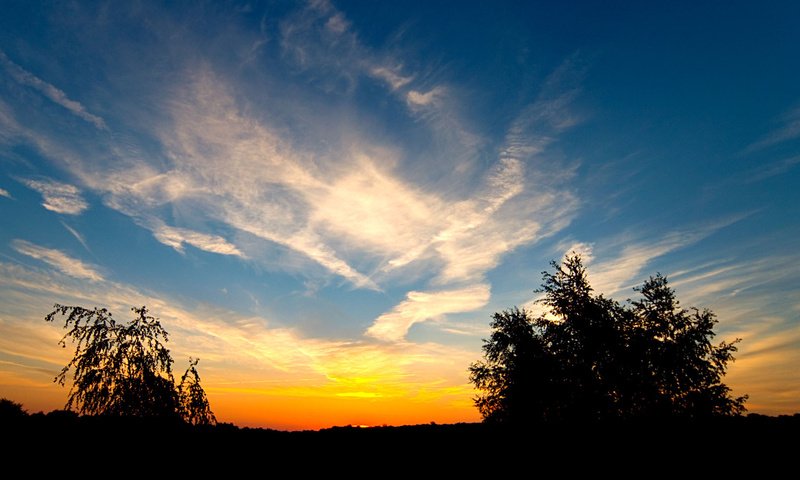 Обои облака, деревья, закат, clouds, trees, sunset разрешение 1920x1200 Загрузить