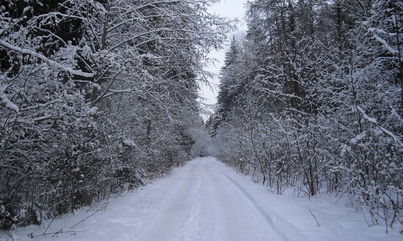 Обои дорога, лес, зима, road, forest, winter разрешение 3456x2592 Загрузить