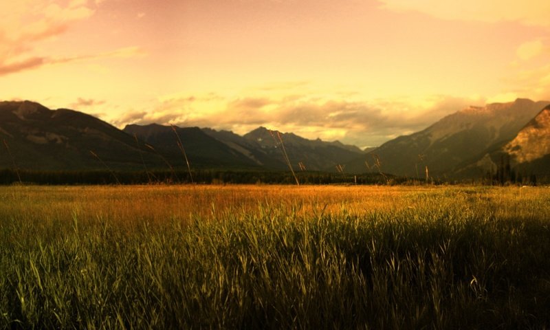 Обои горы, восход, поле, mountains, sunrise, field разрешение 1920x1200 Загрузить