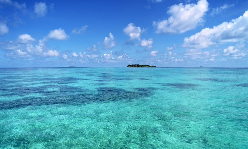 Обои небо, облака, пальмы, океан, остров, тропики, остроп, the sky, clouds, palm trees, the ocean, island, tropics, ostrop разрешение 1920x1200 Загрузить