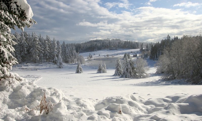 Обои озеро, горы, снег, зима, лёд, ели, lake, mountains, snow, winter, ice, ate разрешение 3504x2336 Загрузить