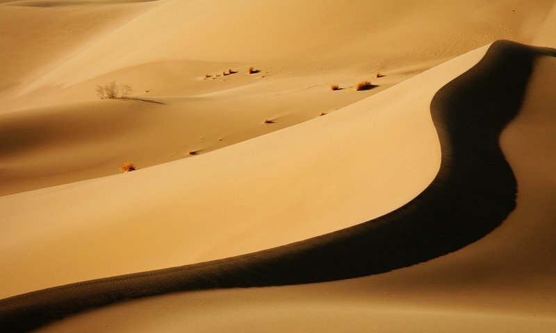 Обои пустыня, тень, бархан, desert, shadow, barkhan разрешение 1920x1200 Загрузить