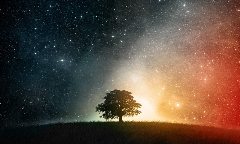 Обои ночь, дерево, звезды, холм, night, tree, stars, hill разрешение 1920x1200 Загрузить