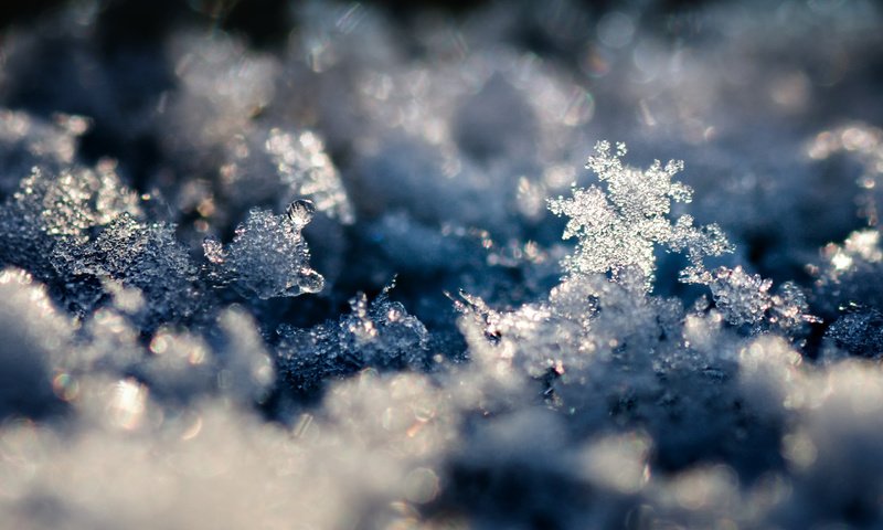 Обои снег, обои, зима, макро, снежинки, фото, фон, snow, wallpaper, winter, macro, snowflakes, photo, background разрешение 2560x1600 Загрузить