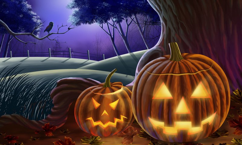 Обои сова, хэллоуин, хеллоуин, тыквы, owl, halloween, pumpkin разрешение 1920x1200 Загрузить