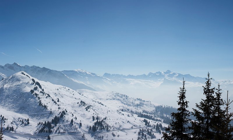 Обои горы, снег, лес, montblanc, mountains, snow, forest разрешение 1920x1080 Загрузить