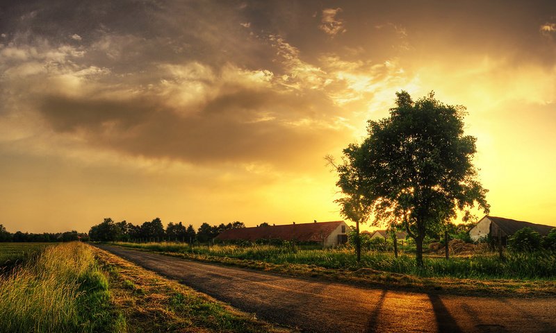 Обои дорога, трава, дерево, road, grass, tree разрешение 1920x1200 Загрузить