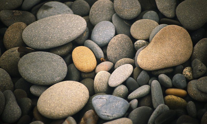 Обои камни, галька, макро, камешки, stones, pebbles, macro разрешение 2560x1600 Загрузить