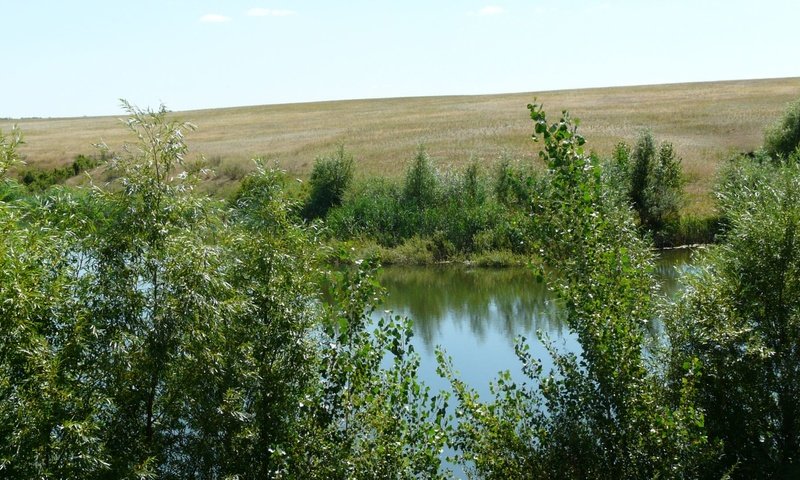 Обои лето зелень озеро, summer greens lake разрешение 1920x1082 Загрузить