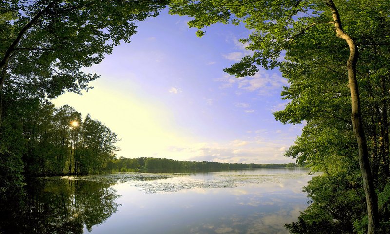 Обои облака, деревья, озеро, clouds, trees, lake разрешение 1920x1200 Загрузить