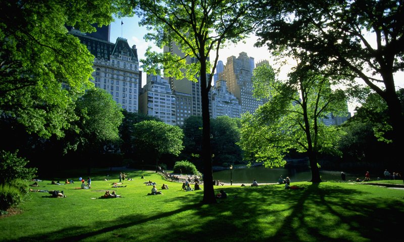 Обои парк, нью-йорк, отдых, park, new york, stay разрешение 2919x1967 Загрузить