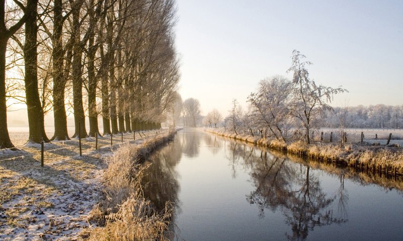 Обои деревья, снег, зима, канал, аллея, trees, snow, winter, channel, alley разрешение 1920x1200 Загрузить