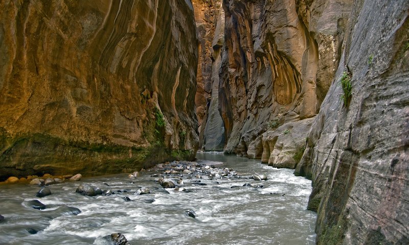 Обои река, камни, скала, ущелье, river, stones, rock, gorge разрешение 1920x1200 Загрузить