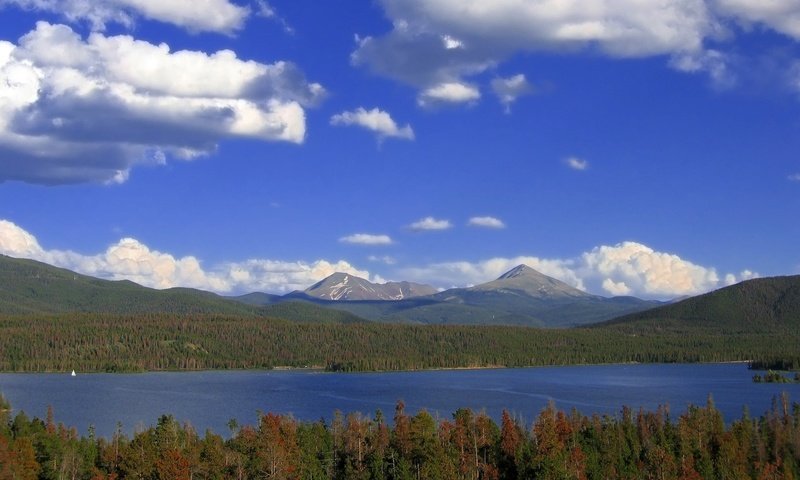 Обои облака, деревья, озеро, лес, clouds, trees, lake, forest разрешение 1920x1200 Загрузить