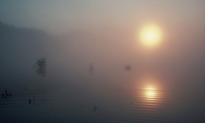 Обои озеро, солнце, туман, lake, the sun, fog разрешение 1920x1440 Загрузить