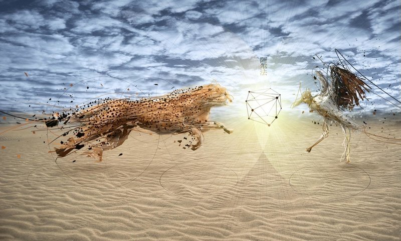 Обои небо, песок, гепард, the sky, sand, cheetah разрешение 1920x1200 Загрузить