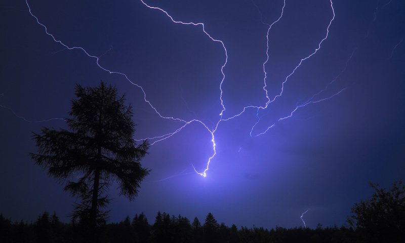 Обои ночь, дерево, молния, вспышка, night, tree, lightning, flash разрешение 2560x1600 Загрузить