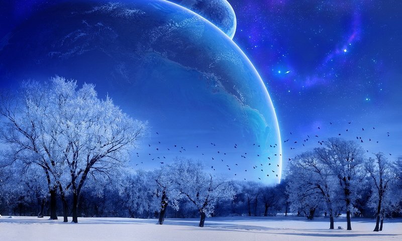 Обои снег, зима, мороз, иней, луна, snow, winter, frost, the moon разрешение 1920x1200 Загрузить