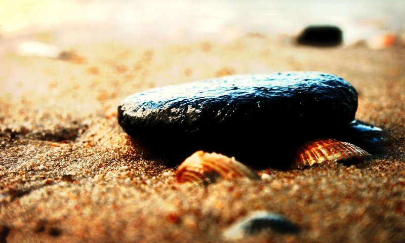 Обои песок, пляж, камень, ракушки, sand, beach, stone, shell разрешение 1920x1200 Загрузить