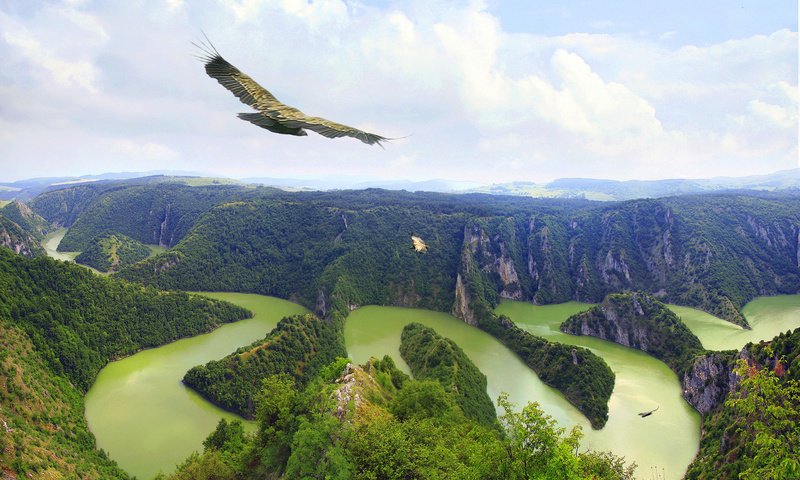 Обои река, горы, природа, полет, ястреб, river, mountains, nature, flight, hawk разрешение 1920x1200 Загрузить