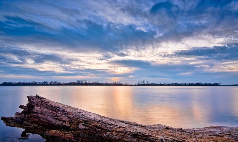 Обои небо, облака, озеро, река, дерево, пейзаж, бревно, the sky, clouds, lake, river, tree, landscape, log разрешение 2560x1600 Загрузить