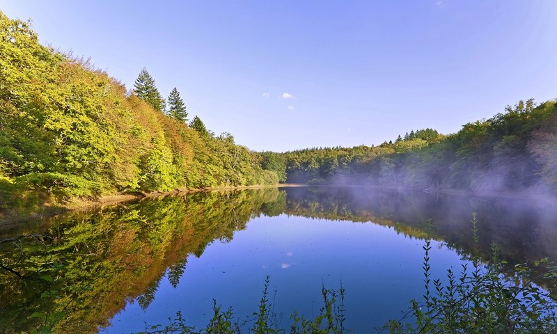 Обои озеро, отражение, утро, туман, lake, reflection, morning, fog разрешение 1920x1200 Загрузить