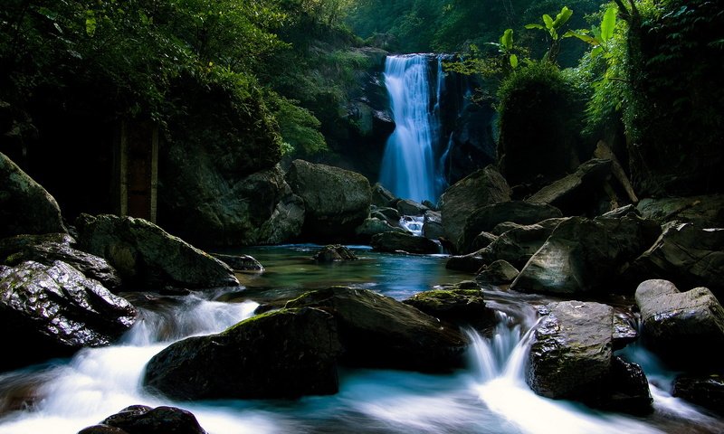 Обои камни, лес, водопад, тропики, stones, forest, waterfall, tropics разрешение 1920x1080 Загрузить