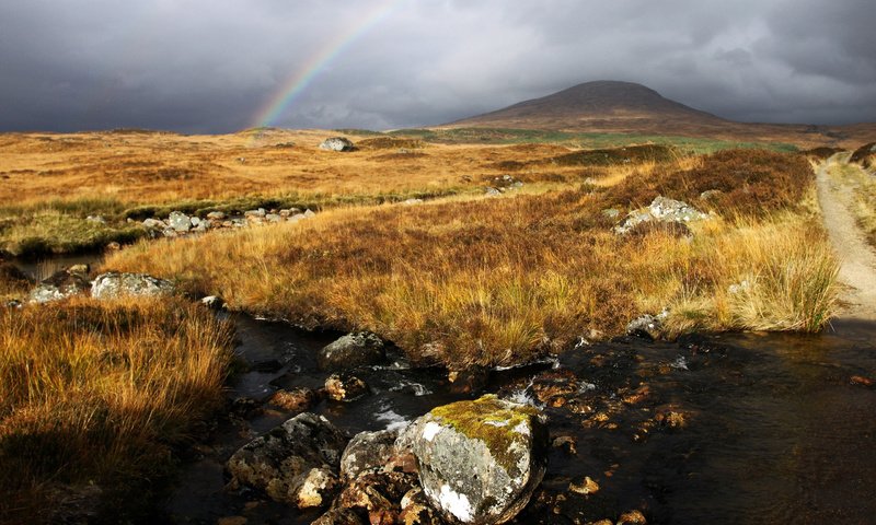 Обои небо, вода, камни, ручей, поле, радуга, холм, the sky, water, stones, stream, field, rainbow, hill разрешение 2560x1600 Загрузить