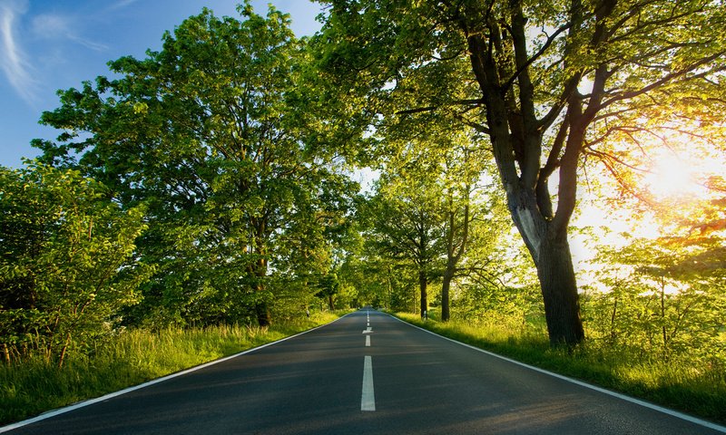 Обои дорога, деревья, листва, лето, разметка, road, trees, foliage, summer, markup разрешение 1920x1200 Загрузить