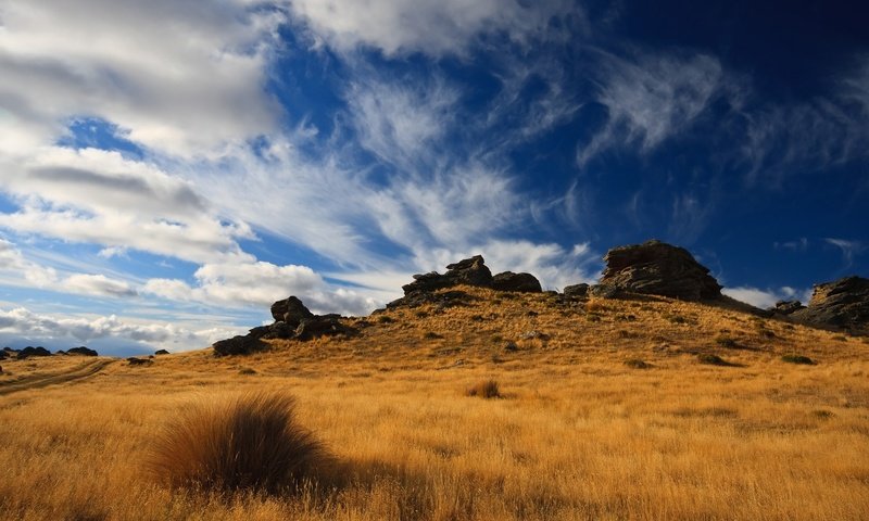 Обои небо, холмы, природа, камни, растения, пейзаж, поле, травы, the sky, hills, nature, stones, plants, landscape, field, grass разрешение 1920x1200 Загрузить