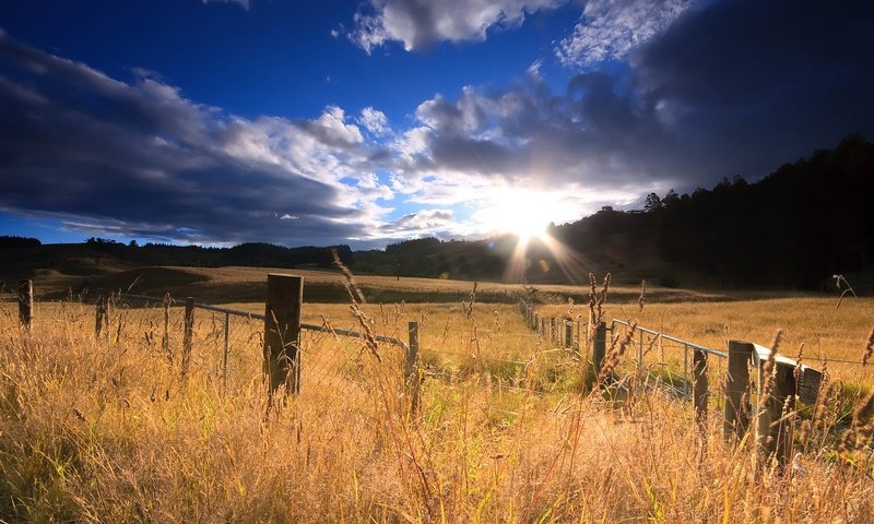 Обои небо, облака, горы, восход, солнце, природа, поле, новая зеландия, the sky, clouds, mountains, sunrise, the sun, nature, field, new zealand разрешение 1920x1200 Загрузить