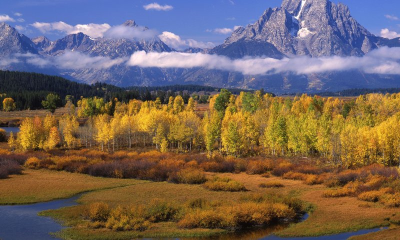 Обои облака, деревья, горы, осень, clouds, trees, mountains, autumn разрешение 1920x1080 Загрузить