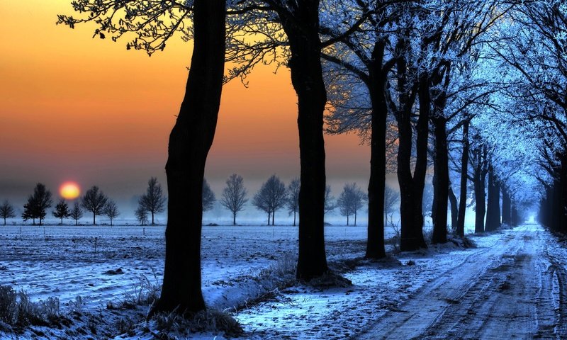 Обои дорога, сумерки, деревья, снег, природа, закат, зима, мороз, следы, road, twilight, trees, snow, nature, sunset, winter, frost, traces разрешение 2560x1600 Загрузить