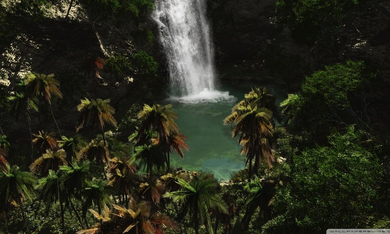 Обои вода, зелень, водопад, пальмы, water, greens, waterfall, palm trees разрешение 1920x1080 Загрузить