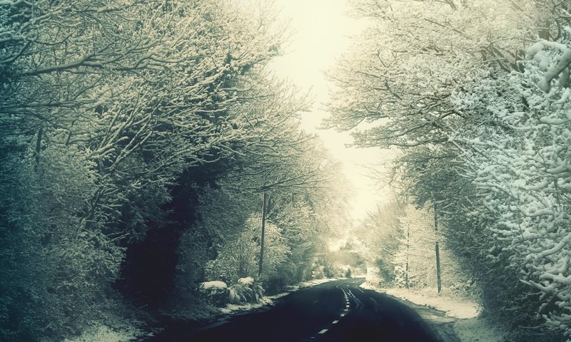 Обои дорога, деревья, снег, зима, ветки, мороз, иней, road, trees, snow, winter, branches, frost разрешение 2560x1600 Загрузить