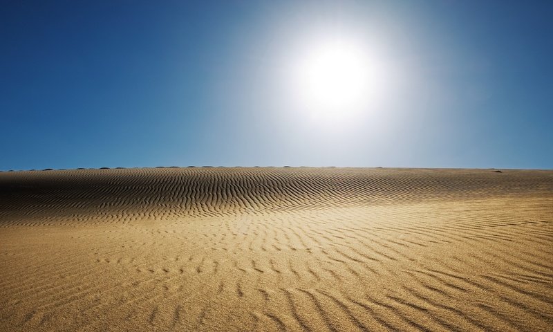 Обои солнце, пустыня, жара, пекло, the sun, desert, heat, hell разрешение 2560x1600 Загрузить