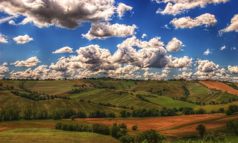 Обои небо, трава, облака, поле, the sky, grass, clouds, field разрешение 1920x1200 Загрузить