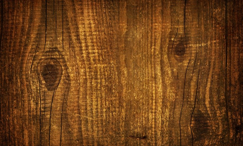 Обои дерево, текстура, древесина, tree, texture, wood разрешение 2560x1600 Загрузить
