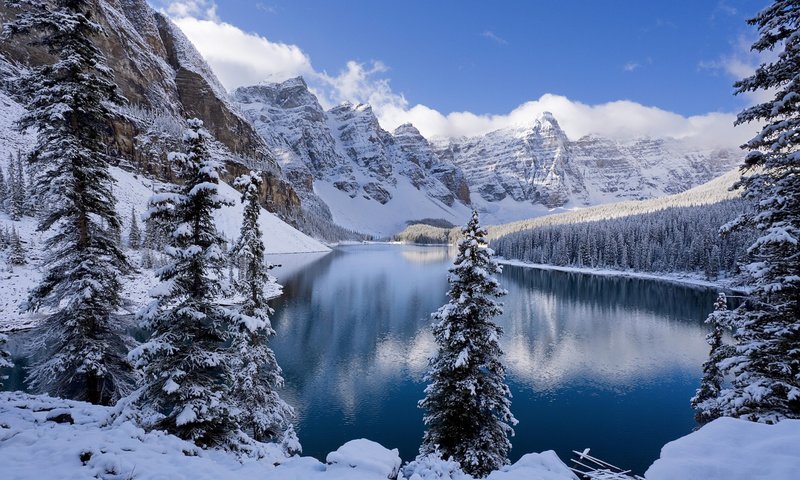 Обои снег, лес, зима, snow, forest, winter разрешение 1920x1200 Загрузить