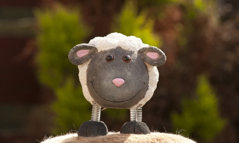 Обои фото, улыбка, игрушка, овечка, photo, smile, toy, sheep разрешение 2560x1600 Загрузить
