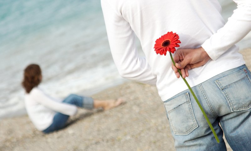 Обои цветок, пляж, любовь, романтика, пара, flower, beach, love, romance, pair разрешение 3276x2336 Загрузить