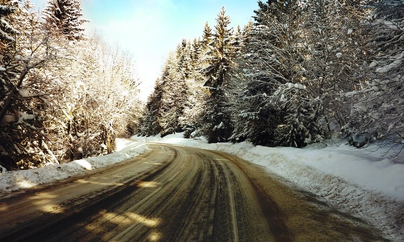 Обои дорога, деревья, снег, зима, елки, road, trees, snow, winter, tree разрешение 2560x1600 Загрузить