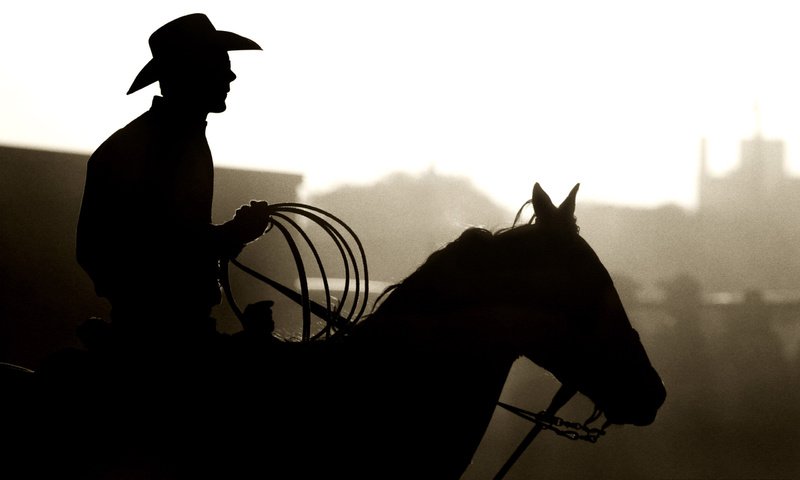 Обои лошадь, силуэт, конь, шляпа, ковбой, лассо, horse, silhouette, hat, cowboy, lasso разрешение 2560x1600 Загрузить