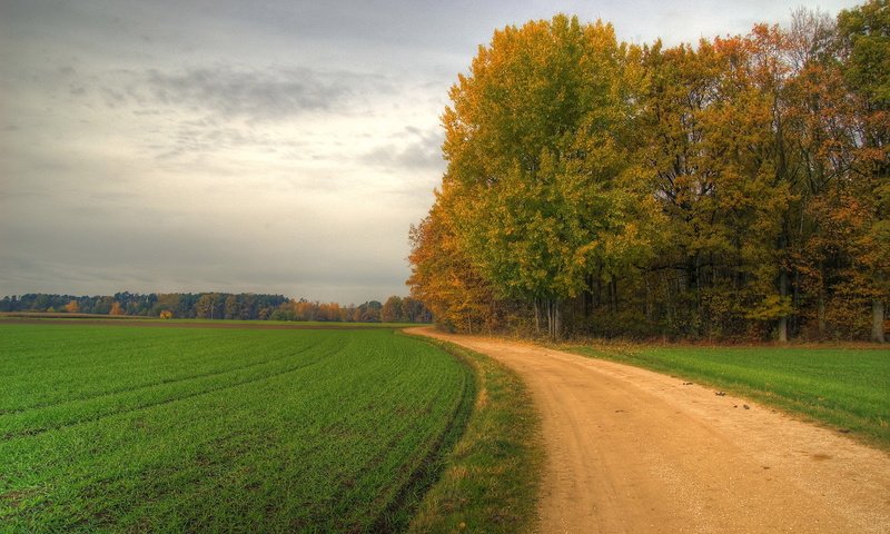 Обои дорога, road разрешение 1920x1200 Загрузить