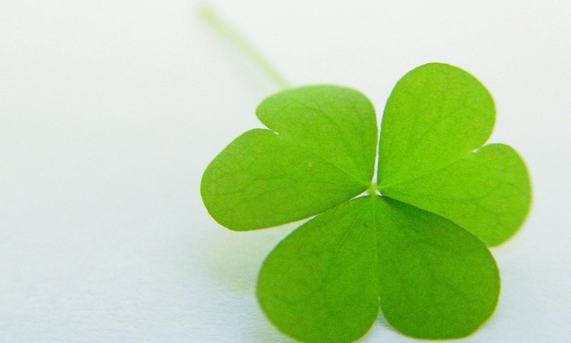 Обои зелень, клевер, форма, лист, greens, clover, form, sheet разрешение 1920x1080 Загрузить